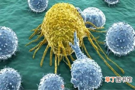 请问人身上肿瘤是怎么引起的 为什么有肿瘤
