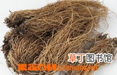 白薇的功效和作用