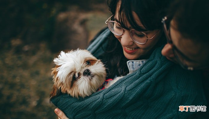 梦见好多狗围着想咬我