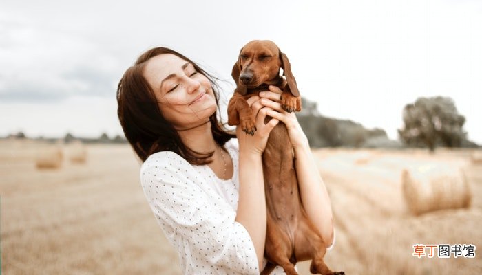 做梦梦见狗粘着我