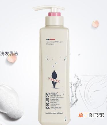 阿道夫洗发水是否引起脱发