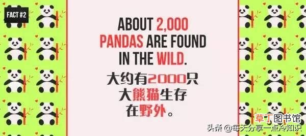 熊猫的知识资料大全 20个熊猫趣味冷知识