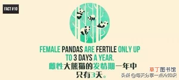 熊猫的知识资料大全 20个熊猫趣味冷知识