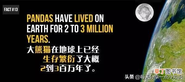 熊猫的知识资料大全 20个熊猫趣味冷知识