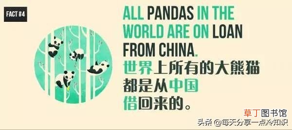 熊猫的知识资料大全 20个熊猫趣味冷知识