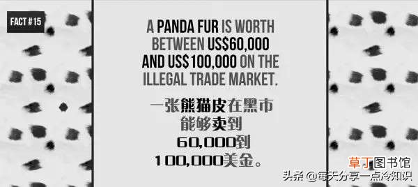 熊猫的知识资料大全 20个熊猫趣味冷知识