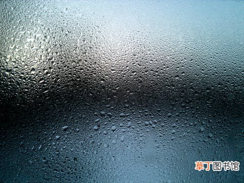 梦见下大雨财运如何