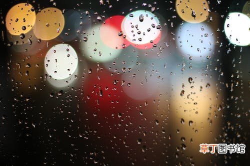 梦见下大雨财运如何