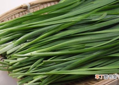 梦到韭菜预示什么