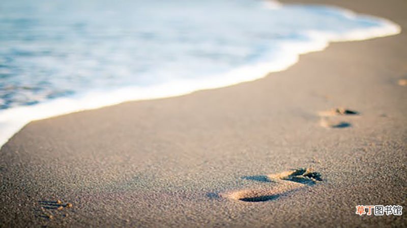 梦见海水