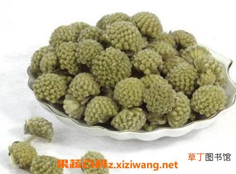 绿萝花的功效与作用