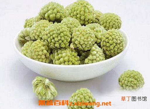 绿萝花的功效与作用