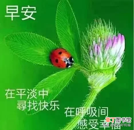 问候语有哪些 朋友圈日常祝福问候语录