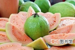番石榴的营养价值！ 番石榴的营养功效及食用禁忌！