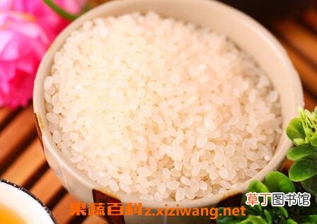 粳米是什么米 粳米的功效与作用