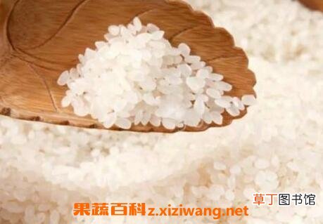 粳米是什么米 粳米的功效与作用