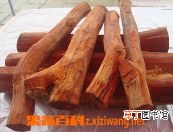 中药苏木的功效与作用