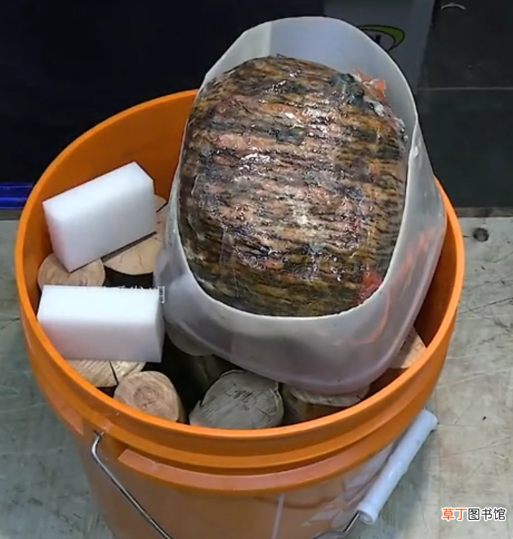 不起眼的烂树枝竟也能创意制作为稀世珍品，真是高手在民间
