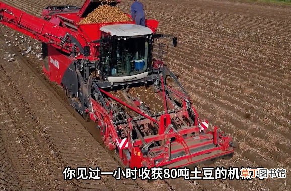 国产土豆全自动收获机 荷兰大型土豆收获