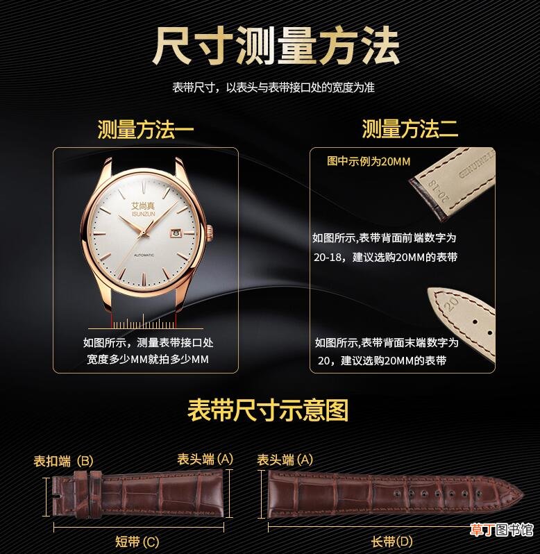 franckmuller是什么牌子手表