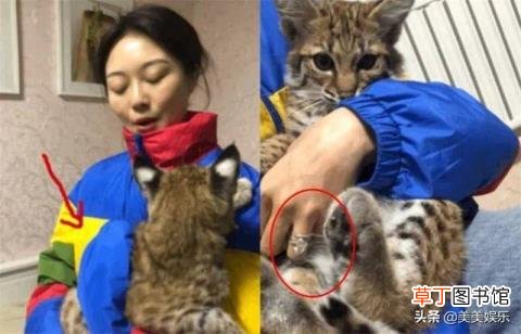 晚晚为什么叫晚红 晚晚为什么红