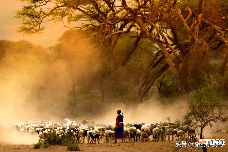 非洲旅游攻略 非洲旅游价格 ！