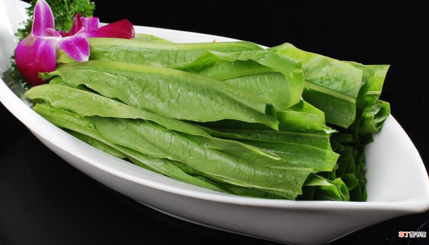 油麦菜怎么做好吃 教你5种油麦菜家常做法