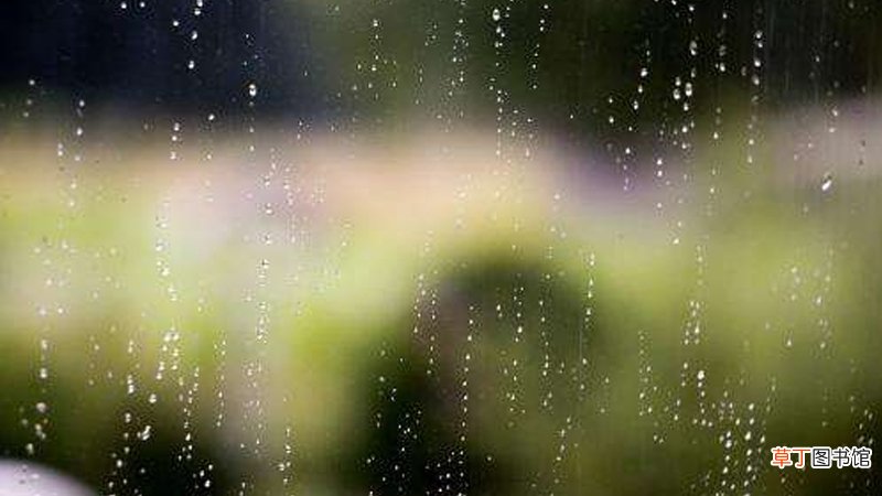 女人梦见大雨淋湿自己