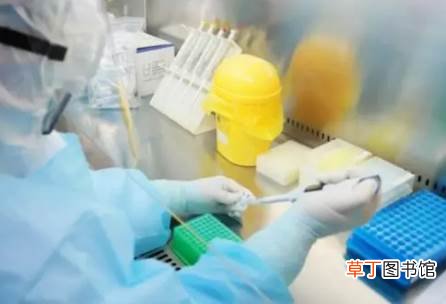 2022春运期间省内返乡需要做核酸检测吗)