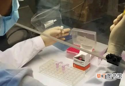 春运回家做核酸检查提前几天做好 2022春运跨省需要核酸检测证明吗