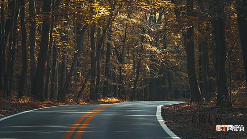 女人梦见路不好走