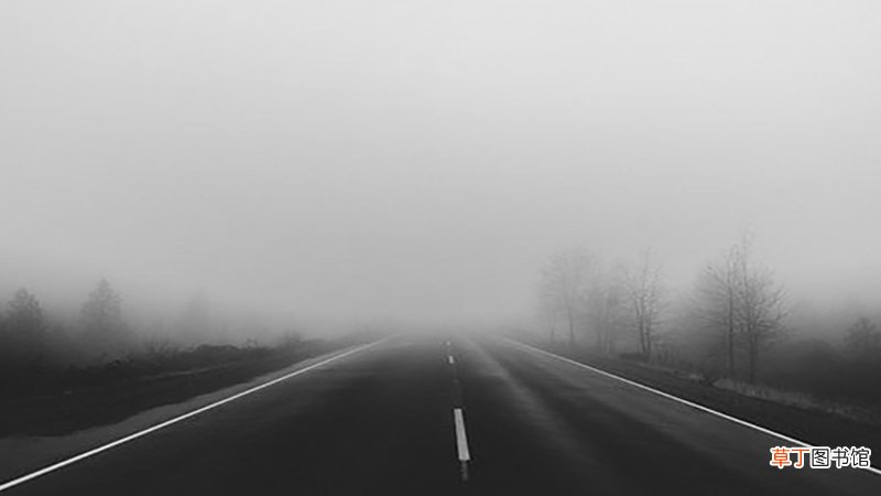 女人梦见路上全是水