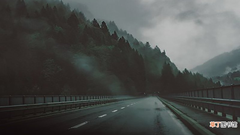 女人梦见路上全是水