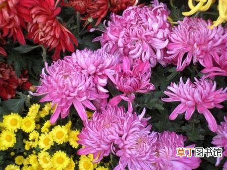 月亮的8个变化过程 月亮为什么会变