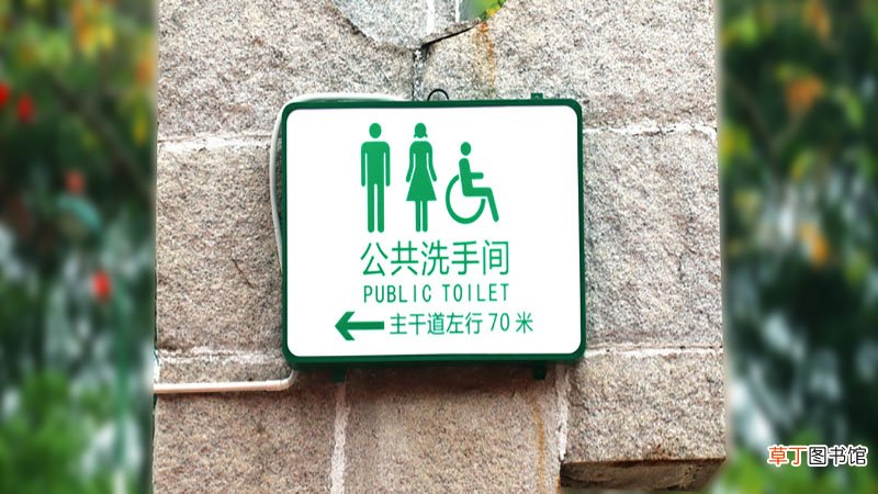 女人梦见看见屎