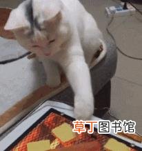 李白为何能成为著名诗人 李白为什么是诗仙