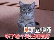 李白为何能成为著名诗人 李白为什么是诗仙