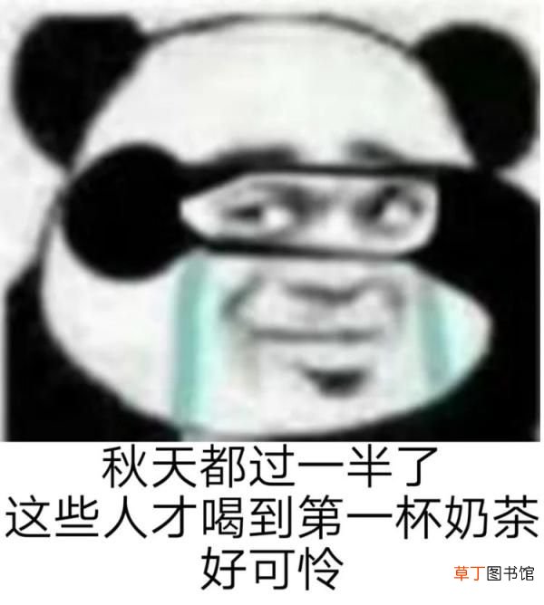 网络用语 2020网络流行语来了！