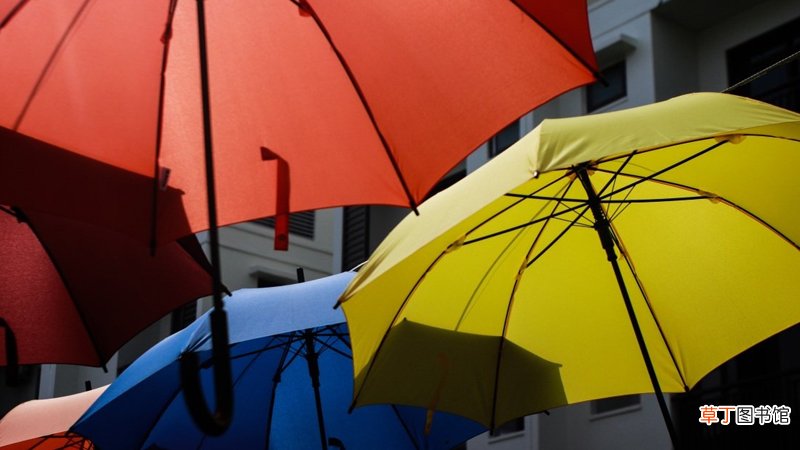 梦见雨伞
