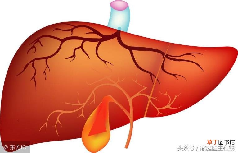 引起食欲不振的原因 为什么食欲不振