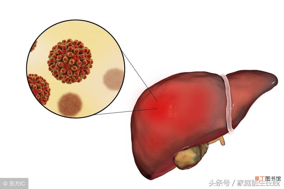 引起食欲不振的原因 为什么食欲不振