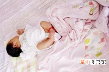 噬元兽大橘 噬元兽为什么抓弗瑞