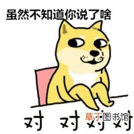 十种寿司的制作方法 寿司为什么叫寿司