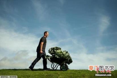 红警造东西太多卡的原因 红警为什么卡