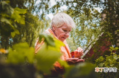 孕妇梦见死去的奶奶生男生女什么意思