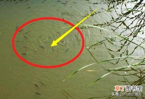马云是干什么的怎么这么有钱 马云为什么那么有钱