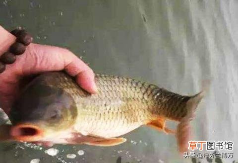 马云是干什么的怎么这么有钱 马云为什么那么有钱