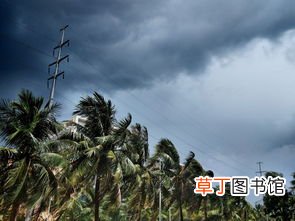 女人梦见刮狂风暴雨是什么意思