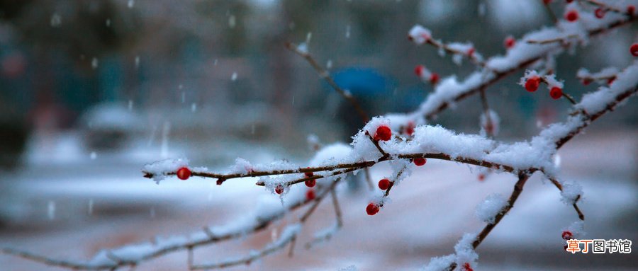 女人梦见大雪纷飞什么意思