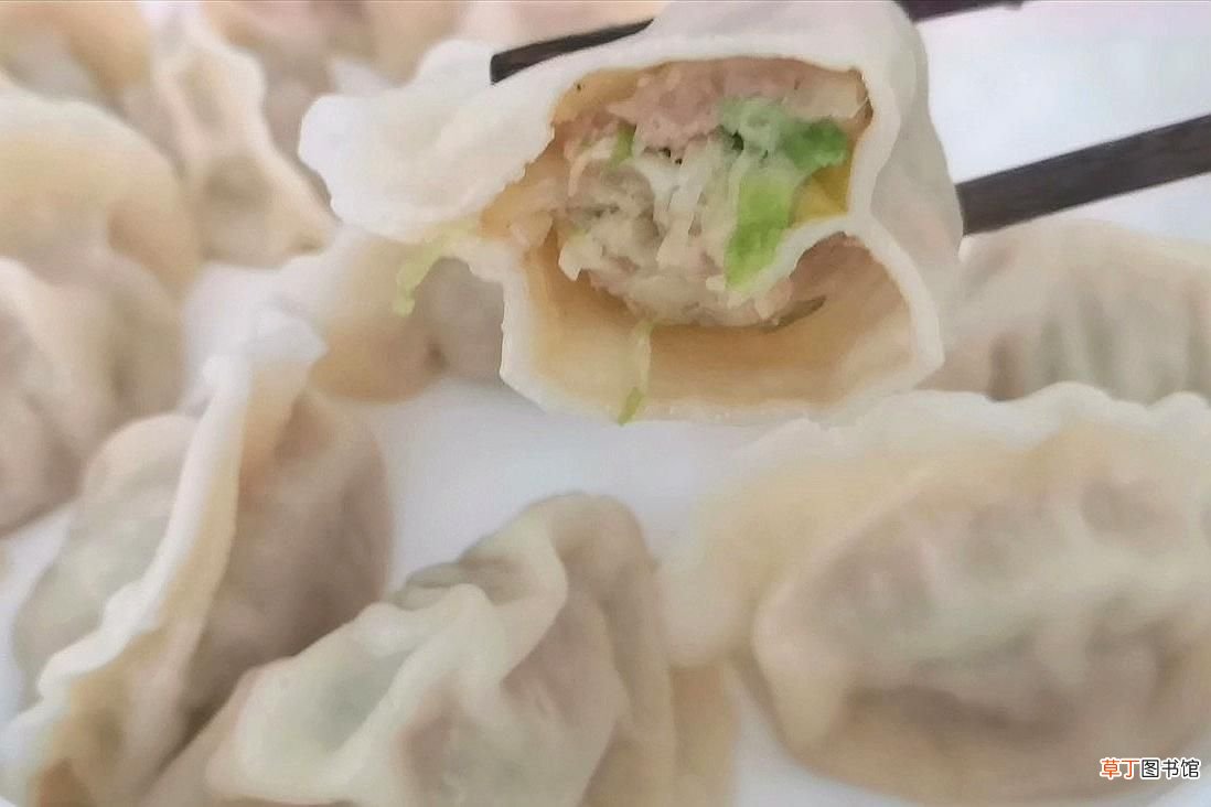 白菜猪肉饺子馅的做法 最专业的猪肉白菜馅调法